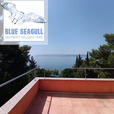 Blue Seagull - Seafront Holiday Home โนวีวีโนดอลสกี ภายนอก รูปภาพ
