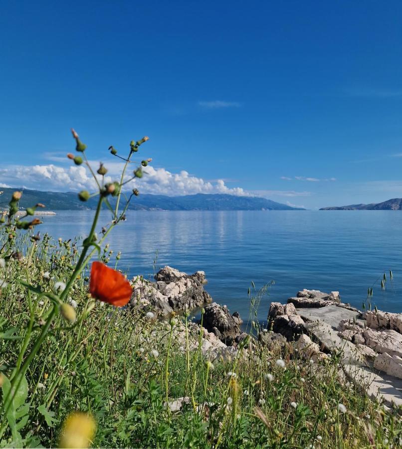 Blue Seagull - Seafront Holiday Home โนวีวีโนดอลสกี ภายนอก รูปภาพ